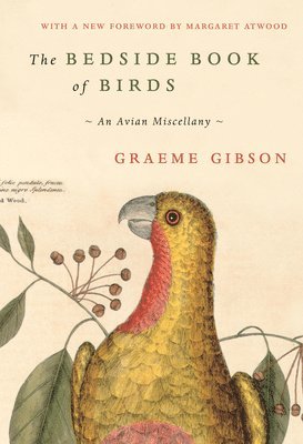 bokomslag Bedside Book Of Birds