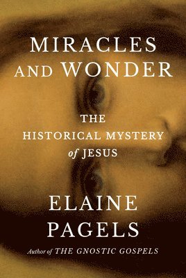 bokomslag Miracles and Wonder: The Historical Mystery of Jesus