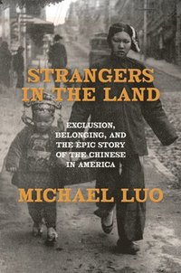 bokomslag Strangers in the Land: Exclusion, Belonging, and the Epic Story of the Chinese in America