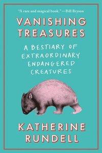 bokomslag Vanishing Treasures