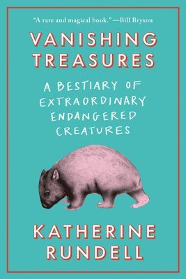 bokomslag Vanishing Treasures