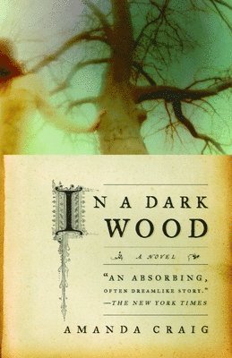 Amanda Craig - In a Dark Wood, Häftad