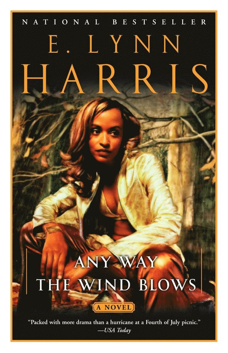 E. Lynn Harris - Any Way The Wind Blows, Häftad