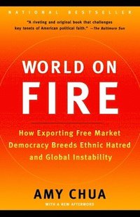 bokomslag World on Fire: How Exporting Free Market Democracy Breeds Ethnic Hatred and Global Instability