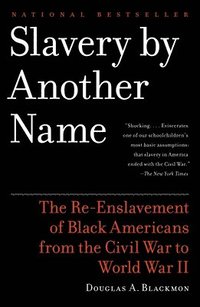 bokomslag Slavery by Another Name: The Re-Enslavement of Black Americans from the Civil War to World War II