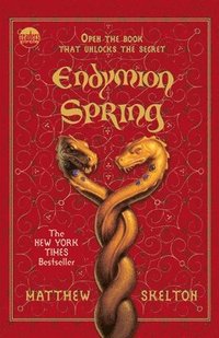 bokomslag Endymion Spring