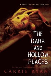 bokomslag Dark And Hollow Places