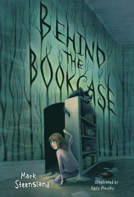 Behind the Bookcase 1