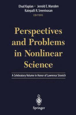 bokomslag Perspectives and Problems in Nonlinear Science