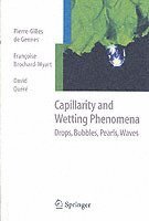bokomslag Capillarity and Wetting Phenomena