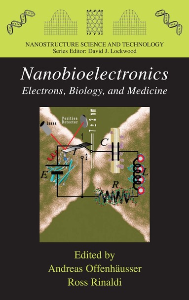 Andreas Offenhäusser, Ross Rinaldi - Nanobioelectronics - for Electronics, Biology, and Medicine, Inbunden