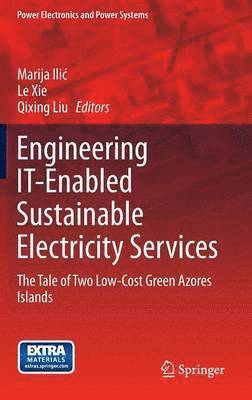 Engineering IT-Enabled Sustainable Electricity Services 1
