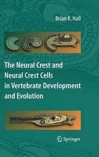bokomslag The Neural Crest and Neural Crest Cells in Vertebrate Development and Evolution