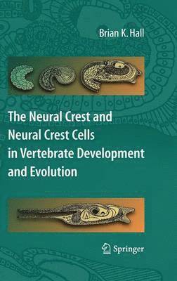 The Neural Crest and Neural Crest Cells in Vertebrate Development and Evolution 1