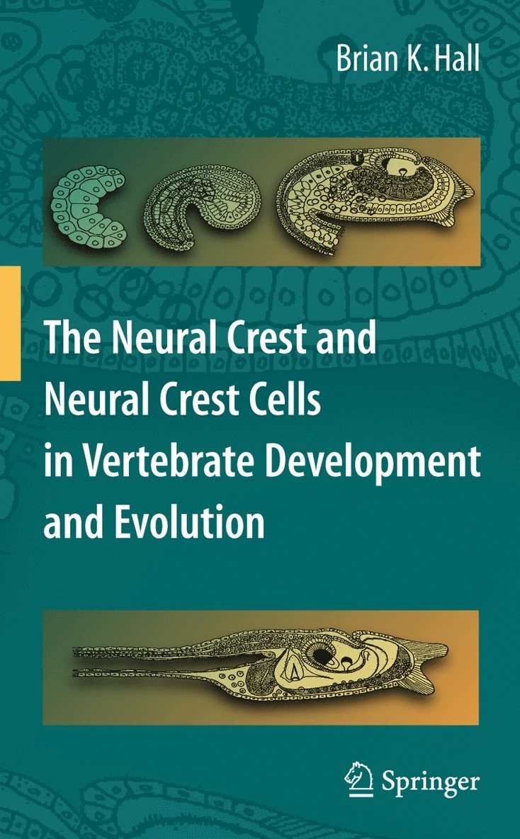 Brian K. Hall - Neural Crest and Neural Crest Cells in Vertebrate Development and Evolution, Inbunden