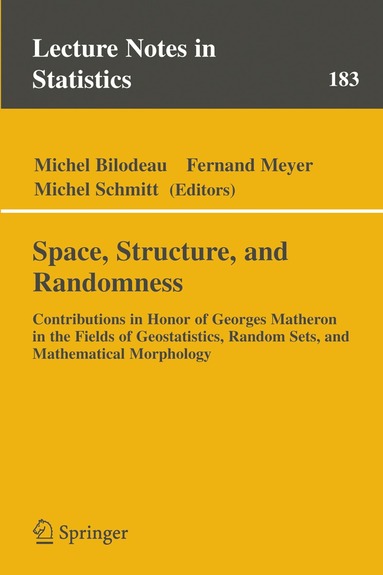 Michel Bilodeau, Fernand Meyer, Michel Schmitt - Space, Structure and Randomness, Häftad