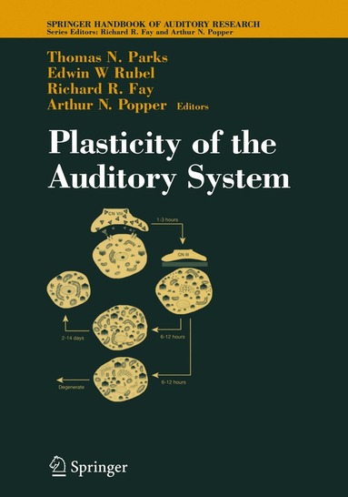 Thomas N. Parks, T. N. Parks, Thomas N. Parks, Edwin W. Rubel, Richard R. Fay - Plasticity of the Auditory System, Inbunden