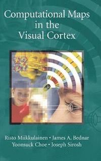 bokomslag Computational Maps in the Visual Cortex