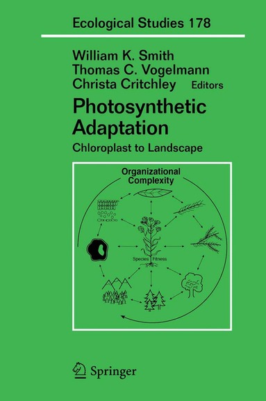 William K Smith, Thomas C. Vogelmann, Christa Critchley - Photosynthetic Adaptation, Inbunden