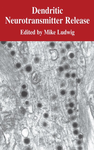M. Ludwig, Mike Ludwig - Dendritic Neurotransmitter Release, Inbunden
