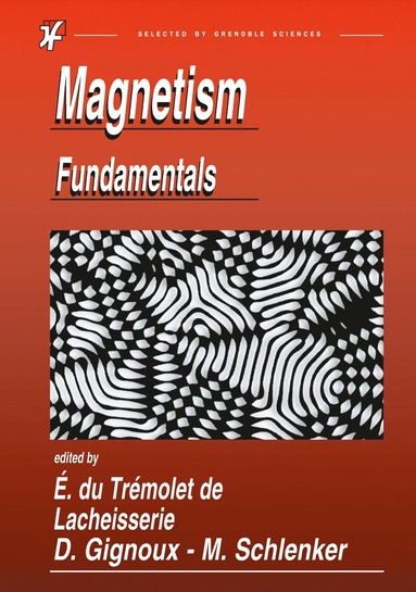 bokomslag Magnetism