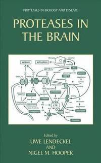 bokomslag Proteases in the Brain