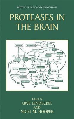 Proteases in the Brain 1