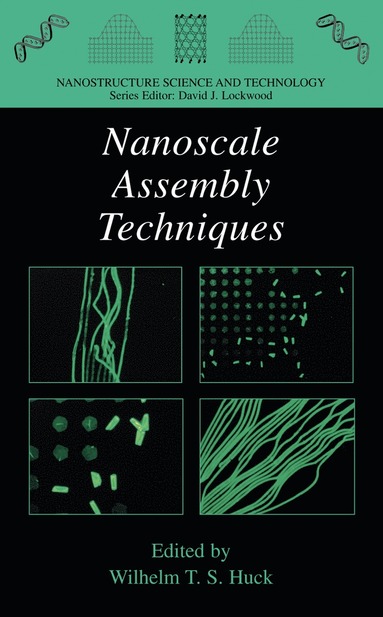 bokomslag Nanoscale Assembly