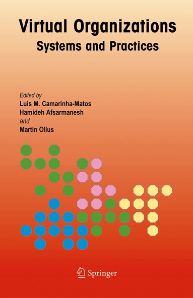 Luis M. Camarinha-Matos, Hamideh Afsarmanesh, Martin Ollus - Virtual Organizations, Inbunden