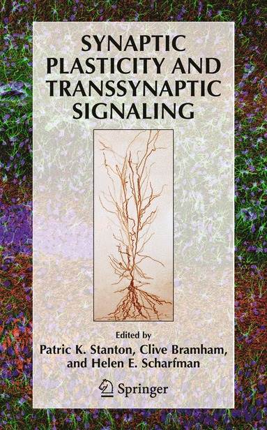 bokomslag Synaptic Plasticity and Transsynaptic Signaling