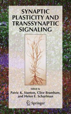 Synaptic Plasticity and Transsynaptic Signaling