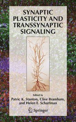 Synaptic Plasticity and Transsynaptic Signaling 1