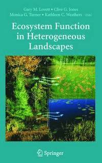 bokomslag Ecosystem Function in Heterogeneous Landscapes