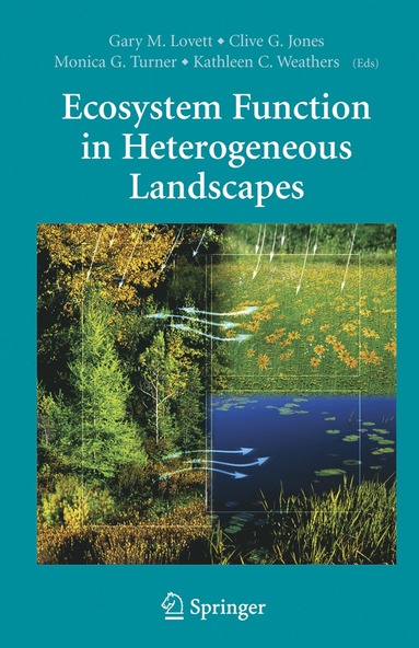 bokomslag Ecosystem Function in Heterogeneous Landscapes