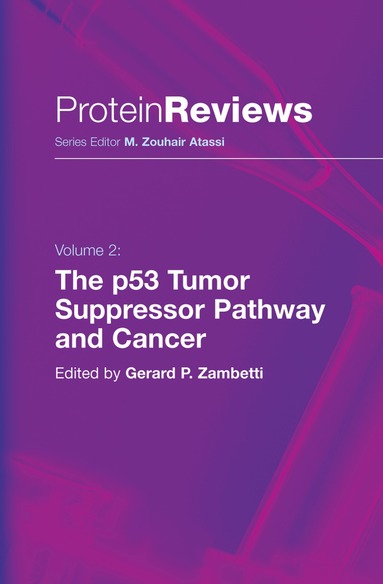 Gerard P. Zambetti - p53 Tumor Suppressor Pathway and Cancer, Inbunden