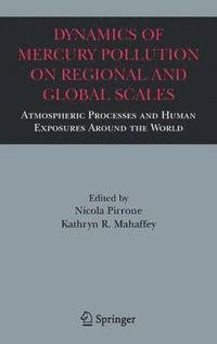 bokomslag Dynamics of Mercury Pollution on Regional and Global Scales