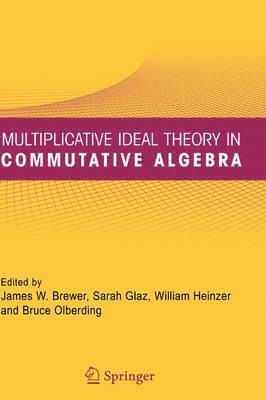 bokomslag Multiplicative Ideal Theory in Commutative Algebra