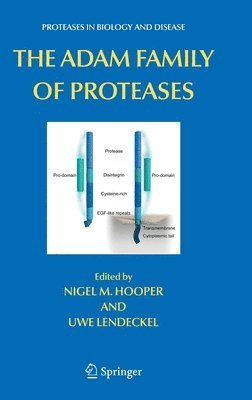 bokomslag The ADAM Family of Proteases