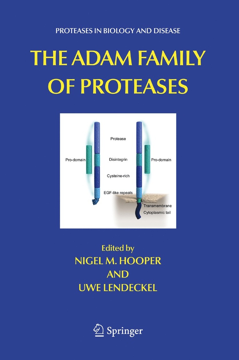 The ADAM Family of Proteases 1