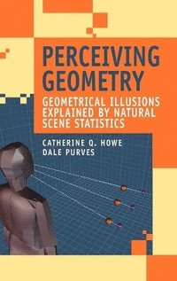 bokomslag Perceiving Geometry