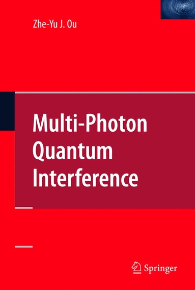 bokomslag Multi-Photon Quantum Interference