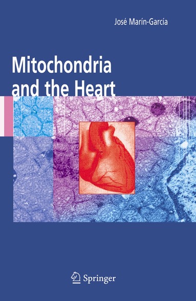 José Marín-García - Mitochondria and the Heart, Inbunden