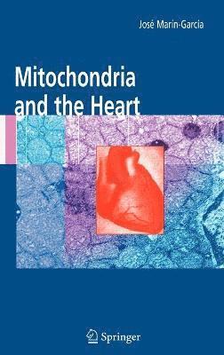 bokomslag Mitochondria and the Heart