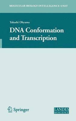 DNA Conformation and Transcription