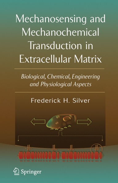 bokomslag Mechanosensing and Mechanochemical Transduction in Extracellular Matrix