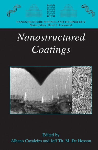 Albano Cavaleiro, Jeff T. de Hosson - Nanostructured Coatings, Inbunden