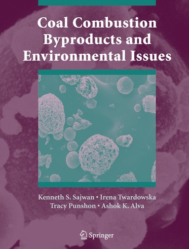 Kenneth S. Sajwan, Irena Twardowska, Tracy Punshon, Ashok K. Alva - Coal Combustion Byproducts and Environmental Issues, Inbunden