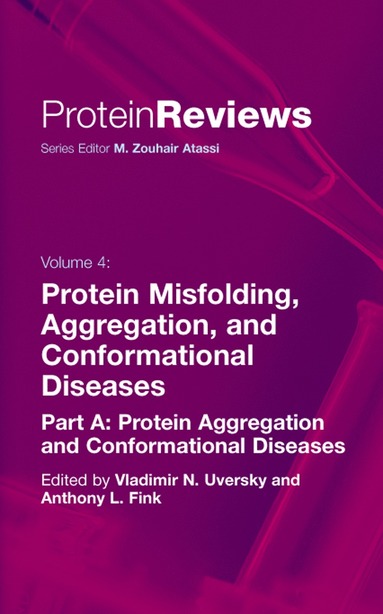 bokomslag Protein Misfolding, Aggregation and Conformational Diseases