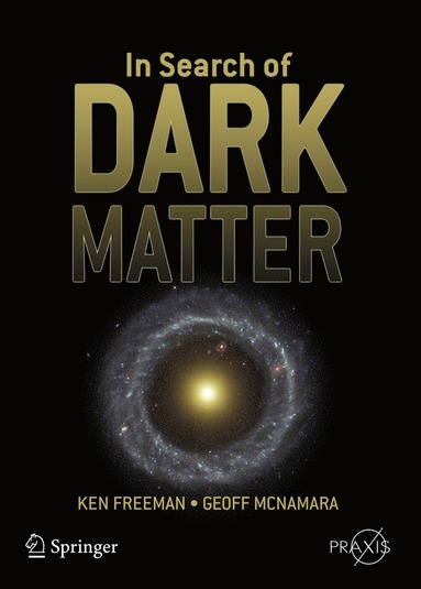 bokomslag In Search of Dark Matter