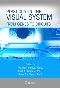 bokomslag Plasticity in the Visual System